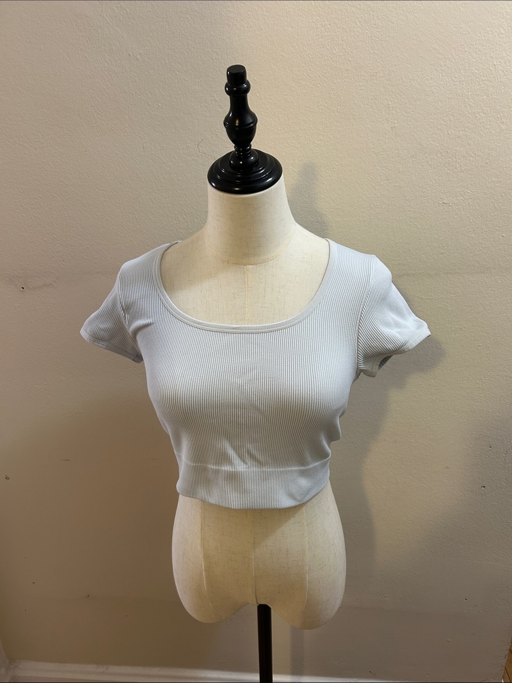 Wild Fable Light Blue Ribbed Crop Top